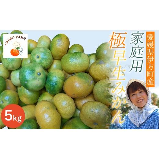 ふるさと納税 果汁飲料 みかん 愛媛県 伊方町 先行予約 家庭用 極早生みかん5kg ふるさと納税 人気 おすすめ ランキング 柑橘 みかん ミカン フルーツ ジュ…