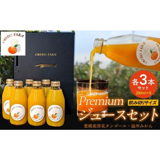 ふるさと納税 果汁飲料 みかん 愛媛県 伊方町 Premiumジュース飲み切りサイズセット ふるさと納税 人気 おすすめ ランキング 柑橘 みかん ミカン フルーツ ジ…