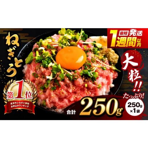 ふるさと納税 マグロ 千葉県 君津市 簡易包装 ネギトロ 250g パック × 1袋 | まぐろのたたき ねぎとろ まぐろ スピード発送 選べる ねぎとろ 小分け 手詰め…
