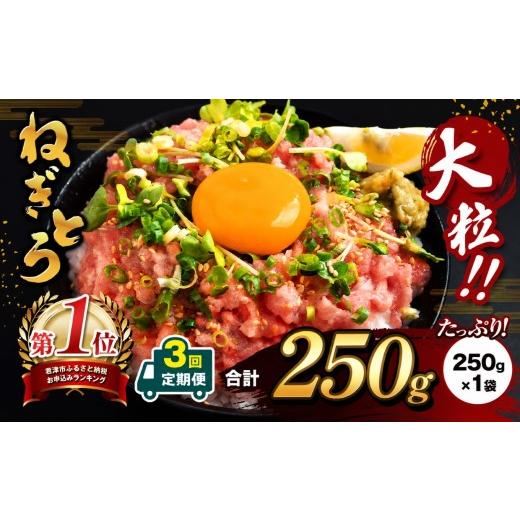 ふるさと納税 マグロ 千葉県 君津市 定期便 3ヶ月 簡易包装 ネギトロ 250g パック × 1袋 まぐろ ねぎとろ スピード発送 選べる ねぎとろ 小分け 手詰め | …