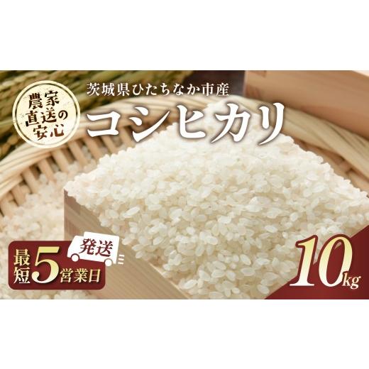 ふるさと納税 米 コシヒカリ 茨城県 ひたちなか市 令和7年産 5営業日以内発送 コシヒカリ 精米 10kg 茨城県ひたちなか市産 | こしひかり コシヒカリ 米 お米 …