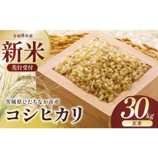 ふるさと納税 米 コシヒカリ 茨城県 ひたちなか市 令和8年産 コシヒカリ 玄米 30kg 茨城県ひたちなか市産 | コシヒカリ こしひかり 米 お米 おこめ こめ 白米…