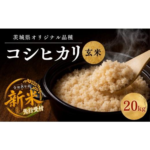ふるさと納税 米 コシヒカリ 茨城県 ひたちなか市 令和8年度米 コシヒカリ 玄米 20kg 農家直送 | 新米 令和8年 先行受付 期間限定 コシヒカリ こしひかり 米 …