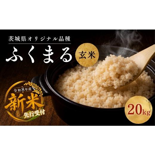 ふるさと納税 米 茨城県 ひたちなか市 令和8年度米 ふくまる 玄米 20kg 農家直送 | 新米 令和8年 先行受付 期間限定 ふくまる 米 お米 おこめ こめ 玄米 ごは…