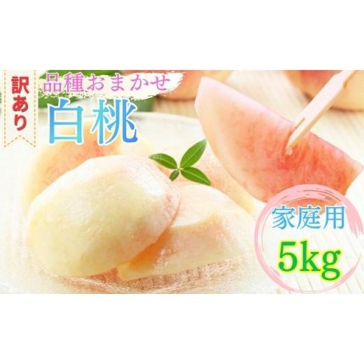 ふるさと納税 もも 山形県 朝日町 山形県産 白桃 ご家庭用 5kg (12玉〜25玉) 2026年8月上旬から9月中旬発送 山形県 果物 フルーツ 桃 モモ もも 夏 送料無料