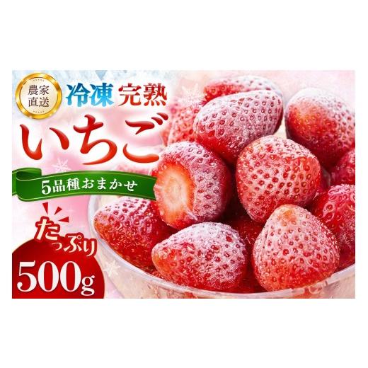 ふるさと納税 いちご 佐賀県 基山町 冷凍完熟いちご500g 完熟いちご 冷凍いちご イチゴ 苺 産地直送 農場直送 ヘタ無し げんき農場 よつぼし おいCベリー かお…