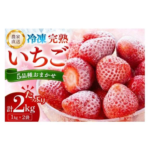 ふるさと納税 いちご 佐賀県 基山町 冷凍完熟いちご2kg(1kg×2袋) 完熟いちご 冷凍いちご イチゴ 苺 産地直送 農場直送 ヘタ無し げんき農場 よつぼし おいCベ…