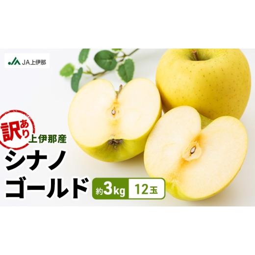 ふるさと納税 りんご 長野県 駒ヶ根市 訳あり りんご 長野 リンゴ シナノゴールド 約3kg (12玉) 産地直送 フルーツ 果物 デザート おやつ 林檎 旬 信州 長野…