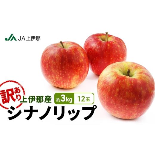 ふるさと納税 りんご 長野県 駒ヶ根市 訳あり りんご 長野 リンゴ シナノリップ 約3kg (12玉) 産地直送 フルーツ 果物 デザート おやつ 林檎 旬 信州 長野県…