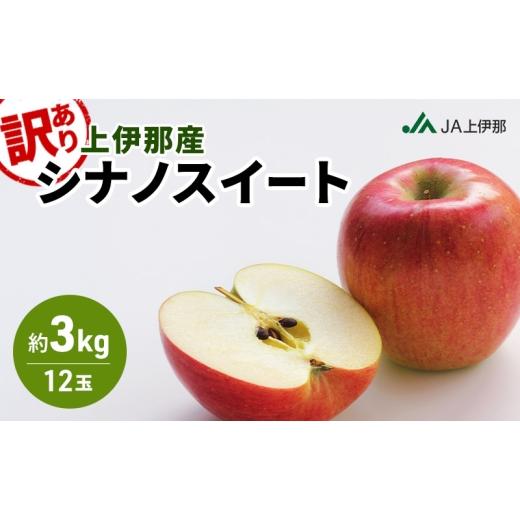 ふるさと納税 りんご 長野県 駒ヶ根市 訳あり りんご 長野 リンゴ シナノスイート 約3kg (12玉) 産地直送 フルーツ 果物 デザート おやつ 林檎 旬 信州 長野…