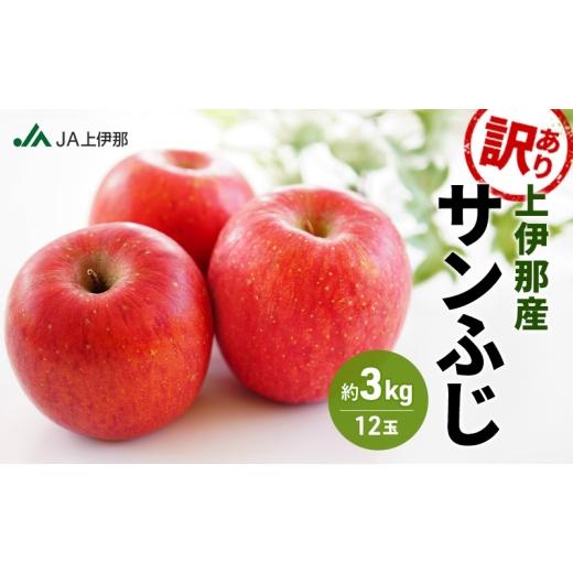 ふるさと納税 りんご 長野県 駒ヶ根市 訳あり りんご 長野 リンゴ サンふじ 約3kg (12玉) 産地直送 フルーツ 果物 デザート おやつ 林檎 旬 信州 長野県 長…