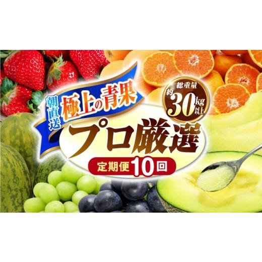 ふるさと納税 果物の詰合せ 長崎県 南島原市 10回コース 果物屋が選ぶ旬のフルーツ定期便 いちご メロン びわ みかん 梨 柿 など / 南島原市 / 贅沢宝庫 SD…
