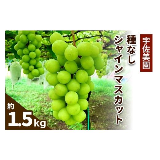 ふるさと納税 ぶどう マスカット 神奈川県 伊勢原市 8月下旬より順次発送/数量限定 宇佐美園の種なし シャインマスカット 約1.5kg|先行予約 ブドウ 皮ごと…