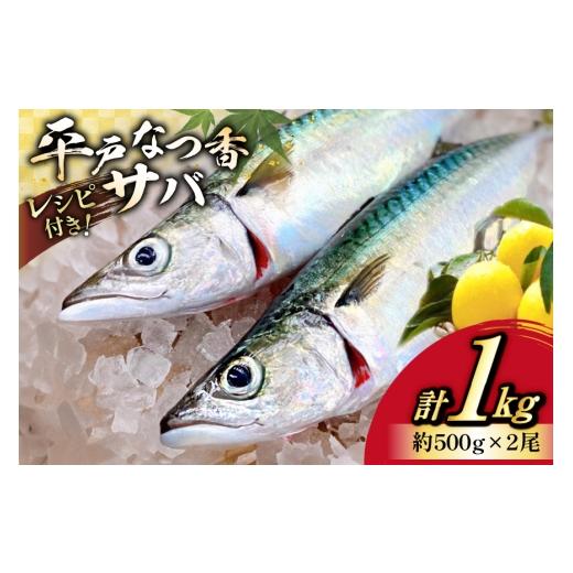 ふるさと納税 旬の鮮魚等 長崎県 平戸市 鯖 刺身 平戸なつ香 サバ 約500g 2尾 (株)坂野水産 長崎県 平戸市 hr42bgy420201 さば 魚介 さかな 刺身用 さしみ …