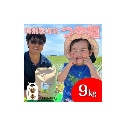 ふるさと納税 米 つや姫 山形県 三川町 令和7年産・精米 ecofarmすがわらの特別栽培米つや姫9kg 令和7年産・精米