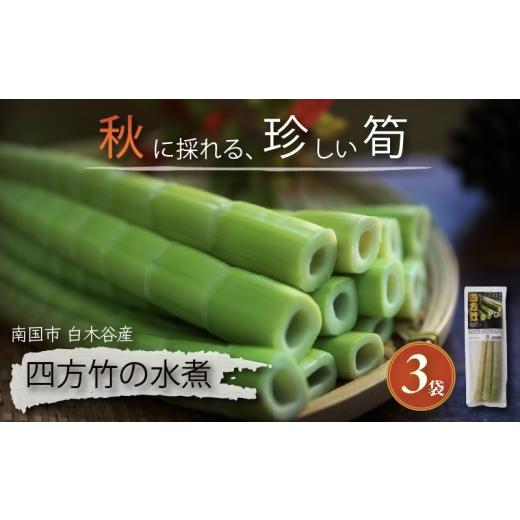 ふるさと納税 惣菜・レトルト 高知県 南国市 8月までの受付限定 国産 四方竹 水煮 120g × 3袋 (2026年11月〜発送) | 秋 筍 たけのこ 竹の子 タケノコ 珍味 …