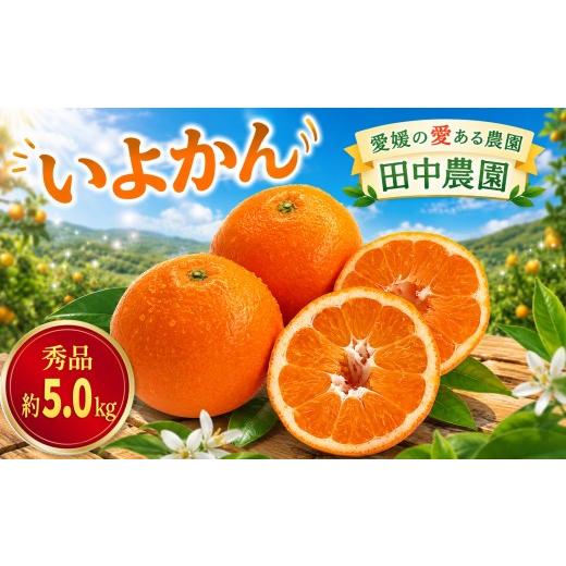 ふるさと納税 果物類 みかん 愛媛県 松山市 2027年1月上旬から順次発送 伊予柑 いよかん 約5kg 秀品 柑橘類 先行予約 贈答用 ギフト フルーツ 柑橘類 先行予…
