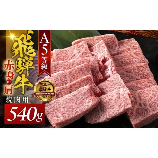 ふるさと納税 牛肉 モモ 岐阜県 大垣市 A5飛騨牛 焼肉用 赤身モモ肉又は肩肉 540g|飛騨牛 焼肉 牛肉 焼肉 飛騨牛 焼肉 牛肉 焼肉 飛騨牛焼肉 牛肉焼肉 和牛焼…