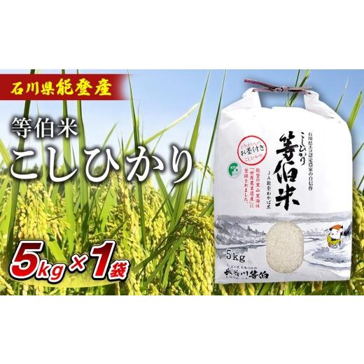 ふるさと納税 米 コシヒカリ 石川県 七尾市 令和7年産 等伯米コシヒカリ 5kg×1袋 | 世界農業遺産に認定された『能登の里山里海』で育まれたお米 石川県 七…