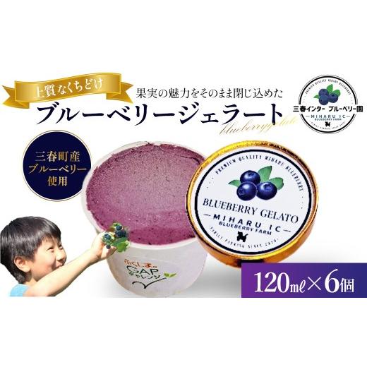 ふるさと納税 アイス・ヨーグルト ジェラート 福島県 三春町 ブルーベリー ジェラート(三春町産)120ml×6個