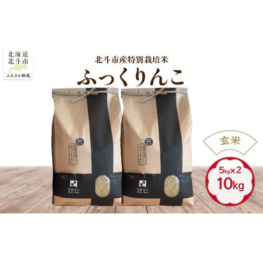 ふるさと納税 米 北海道 北斗市 令和7年産 玄米 北斗市産特別栽培米ふっくりんこ10kg(5kg×2) ふるさと納税 人気 おすすめ ランキング お米 精米したて 玄…