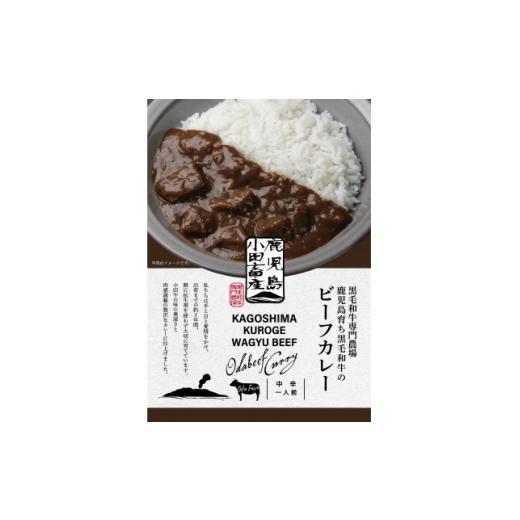 ふるさと納税 加工品等 レトルト 鹿児島県 南九州市 小田牛のビーフカレー 180g×2個 1755180