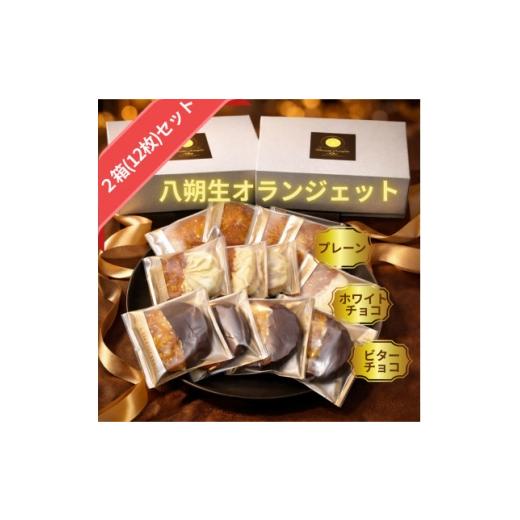 ふるさと納税 菓子 奈良県 天理市 輝京 天理市八朔の生オランジェット 12枚セット(6枚入×2箱) 1750917