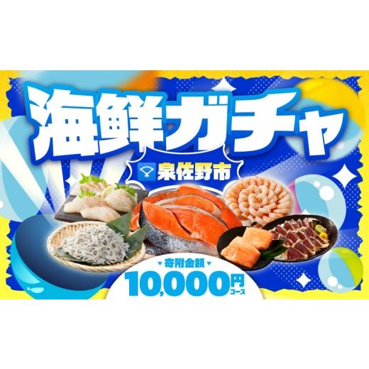 ふるさと納税 魚貝類 大阪府 泉佐野市 期間限定 泉佐野 海鮮ガチャ(寄附10,000円コース) 海鮮 えび 鮭 サーモン しらす 刺身 普段使い お楽しみ 翌月以降