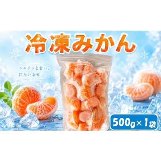 ふるさと納税 みかん・柑橘類 愛媛県 松山市 愛媛 冷凍みかん 1袋 (500g) | 冷凍みかん 愛媛みかん みかん 柑橘 アイス シャーベット mikan 蜜柑 れいとうみか…