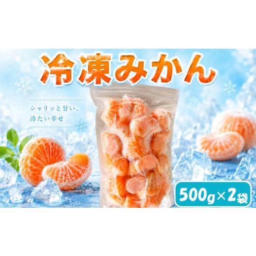 ふるさと納税 みかん・柑橘類 愛媛県 松山市 愛媛 冷凍みかん 2袋 (500g×2袋) | 冷凍みかん 愛媛みかん みかん 柑橘 アイス シャーベット mikan 蜜柑 れいと…