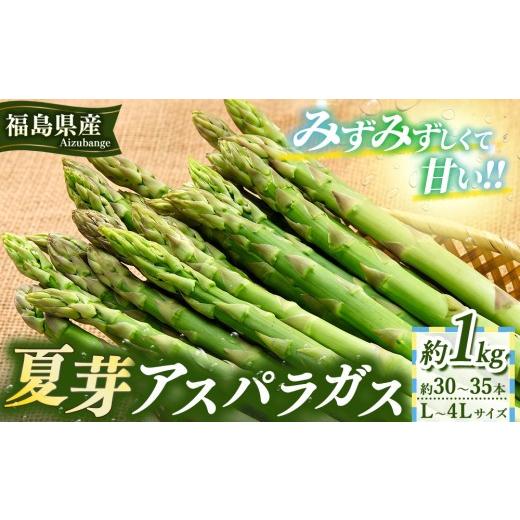 ふるさと納税 野菜類 アスパラガス 福島県 会津坂下町 60-C 夏芽アスパラガスL〜4Lサイズ1kg(約30〜35本) 2026年7月〜発送