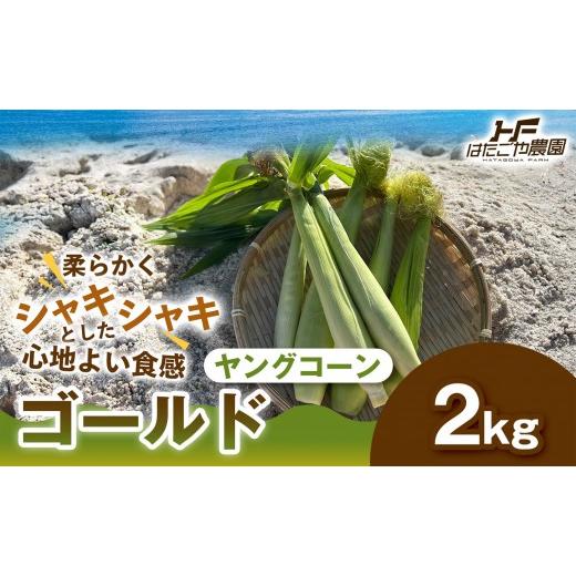 ふるさと納税 とうもろこし 和歌山県 白浜町 [食卓を彩る希少な季節野菜]潮風ベイビー 2kg ヤングコーン ゴールド ベビーコーン グリル 付け合わせ野菜 BBQ …