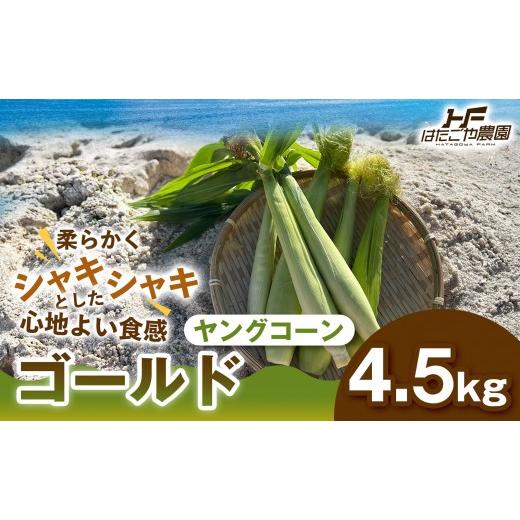ふるさと納税 とうもろこし 和歌山県 白浜町 [食卓を彩る希少な季節野菜]潮風ベイビー 4.5kg ヤングコーン ゴールド ベビーコーン グリル 付け合わせ野菜 BB…