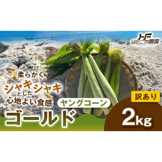 ふるさと納税 とうもろこし 和歌山県 白浜町 [ご家庭用におすすめ]訳アリ 潮風ベイビー 2kg ヤングコーン ゴールド ベビーコーン グリル 付け合わせ野菜 BBQ…