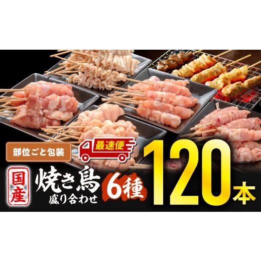 ふるさと納税 鶏肉 焼き鳥 宮崎県 宮崎市 最速便 若鶏の焼き鳥セット6種(120本)盛り合わせ_M146-001-01-2W 30,000円 最速便 ファミリー向け120本(部位ごと包…