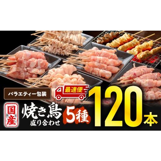ふるさと納税 鶏肉 焼き鳥 宮崎県 宮崎市 最速便 若鶏の焼き鳥セット5種(120本)バラエティーセット_M146-016-01-2W 30,000円 最速便 ファミリー向け120本(バ…