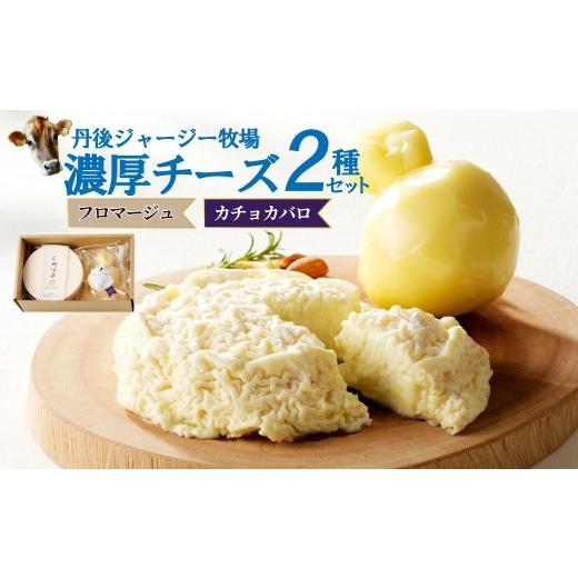 ふるさと納税 加工品等 チーズ 京都府 京丹後市 丹後ジャージー牧場の濃厚チーズ2種セット(フロマージュ・カチョカバロ) 濃厚チーズセット 丹後ジャージー牧…