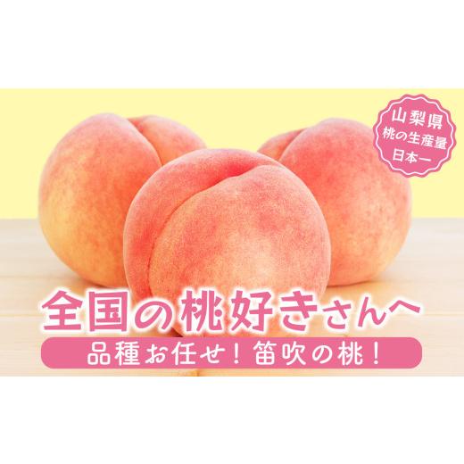ふるさと納税 もも 山梨県 笛吹市 ふるさとチョイス限定 2027年発送 先行予約 山梨県産 旬の桃 2kg以上(5〜8玉) 180-004-cp-27y 10月より寄附金額改定予定 20…