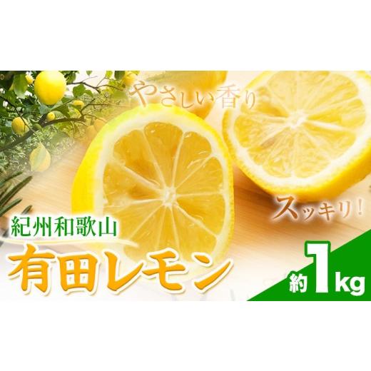 ふるさと納税 みかん・柑橘類 レモン 和歌山県 日高町 紀州和歌山 有田レモン 約1kg 有田マルシェ[2026年9月下旬-2027年2月下旬頃発送予定] 和歌山県 日高町…