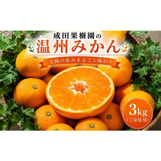 ふるさと納税 果物類 みかん 高知県 黒潮町 成田果樹園の温州みかん 3kg(ご家庭用)[1816] 6000円:3kg
