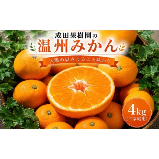 ふるさと納税 果物類 みかん 高知県 黒潮町 成田果樹園の温州みかん 4kg(ご家庭用)[1830] 9000円:4kg