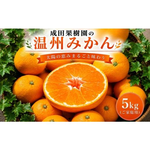 ふるさと納税 果物類 みかん 高知県 黒潮町 成田果樹園の温州みかん 5kg(ご家庭用)[1832] 10000円:5kg