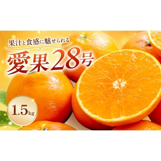 ふるさと納税 果物類 みかん 愛媛県 東温市 愛果28号家庭用 約1.5kg サイズお任せ 愛媛県東温市産愛果28号 東温市産 「 紅まどんな 」の同一品種(品種名: …