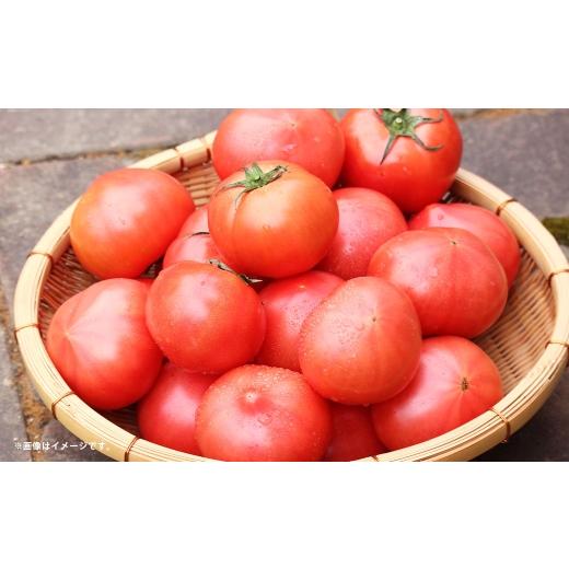 ふるさと納税 野菜類 トマト 熊本県 熊本市 R8年熊本地震復興支援 トマト 約4kg ( 約20玉 ) とまと 野菜 やさい 果肉 旬 サラダ 酸味 国産 熊本県産