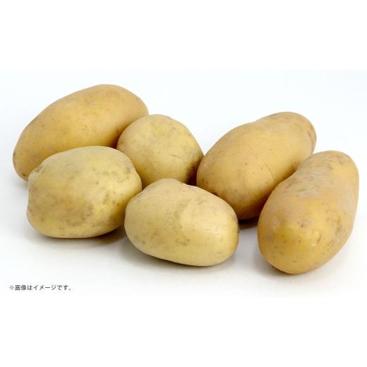 ふるさと納税 野菜類 じゃがいも 熊本県 熊本市 R8年熊本地震復興支援 メイクイーン 約10kg ( 35個 〜 50個 ) じゃがいも ジャガイモ 野菜 やさい 旬 カレ…