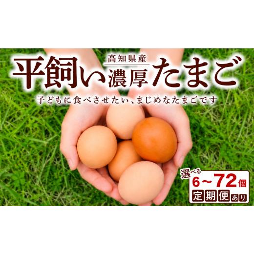 ふるさと納税 卵(鶏、烏骨鶏等) 高知県 宿毛市 土佐ジロー6個×1P うらにわ自然たまご園 土佐ジロー6個×1P(7,000円)