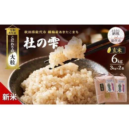 ふるさと納税 米 あきたこまち 秋田県 能代市 新米 先行予約 令和8年産 玄米 秋田県産 あきたこまち 6kg(3kg×2)「杜の雫」こだわりの大粒 種梅産 お米 たねう…