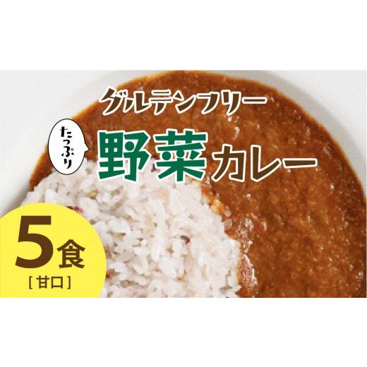 ふるさと納税 惣菜・レトルト 冷凍 福岡県 那珂川市 グルテンフリー たっぷり野菜カレー 甘口 5食セット 株式会社 愛しとーと 甘口