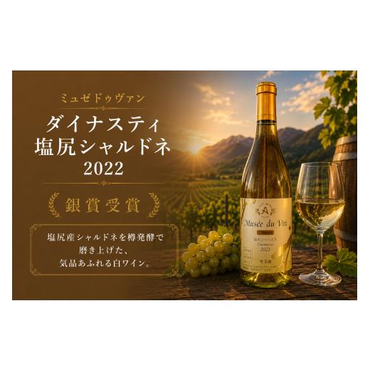 ふるさと納税 ワイン 白ワイン 長野県 塩尻市 チョイス限定 アルプス ミュゼドゥヴァン ダイナスティ塩尻シャルドネ2022 銀賞受賞ワイン | ワイン わいん チ…