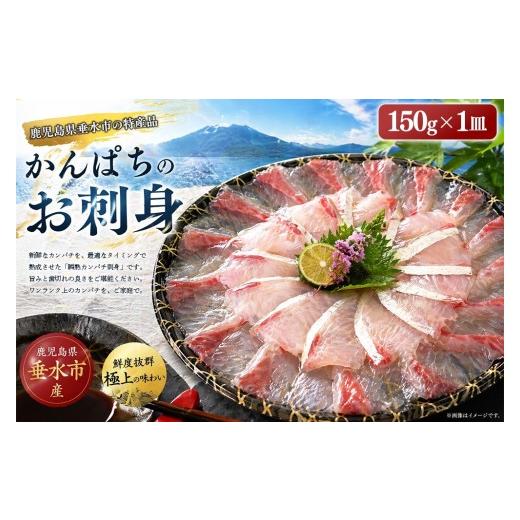 ふるさと納税 旬の鮮魚等 鹿児島県 垂水市 A1-7615/瞬熟かんぱち刺身 1皿(17cm皿・150g)